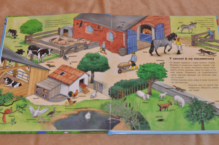 Бюджетные смотрелки от Ранка