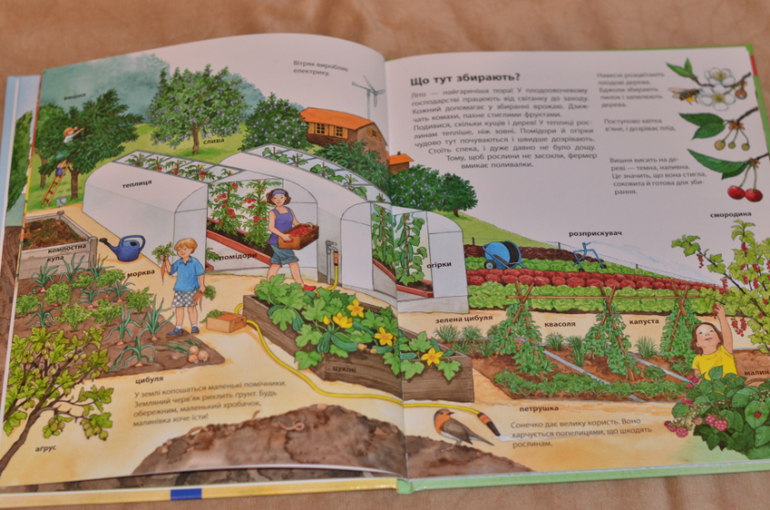 Бюджетные смотрелки от Ранка