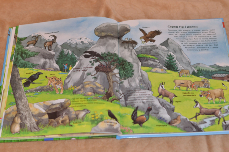 Бюджетные смотрелки от Ранка