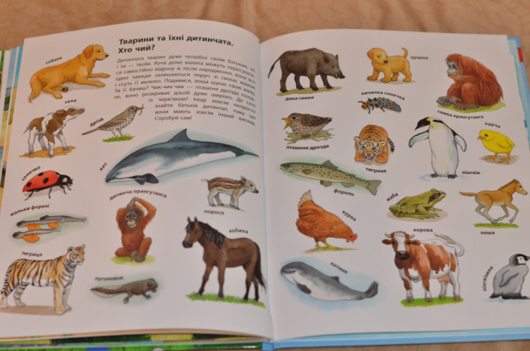 Бюджетные смотрелки от Ранка