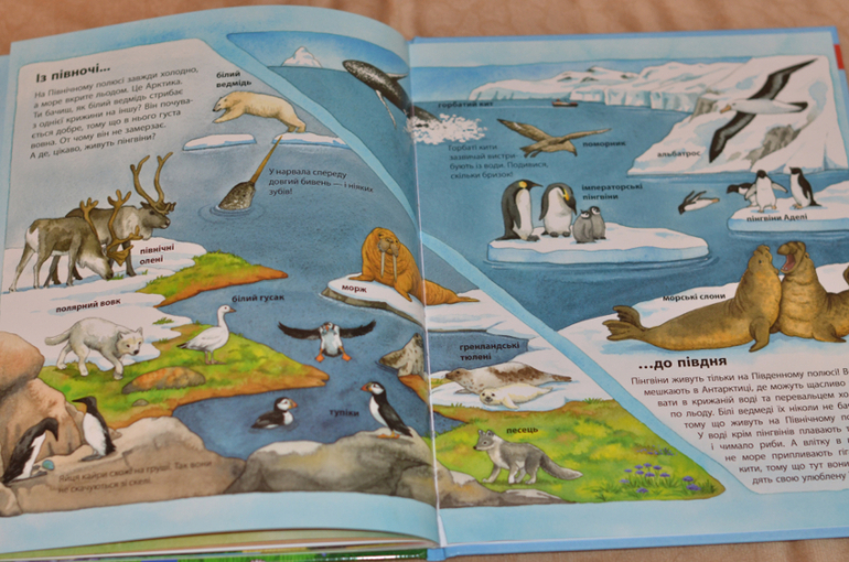 Бюджетные смотрелки от Ранка