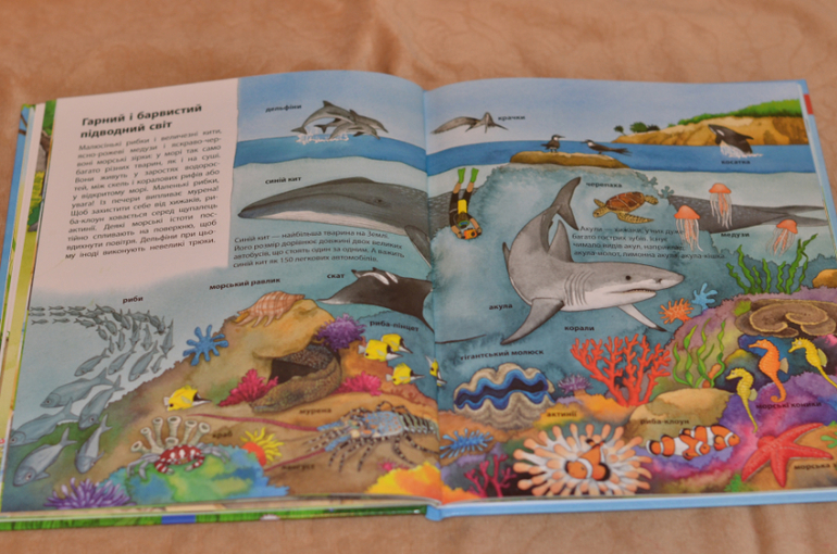 Бюджетные смотрелки от Ранка