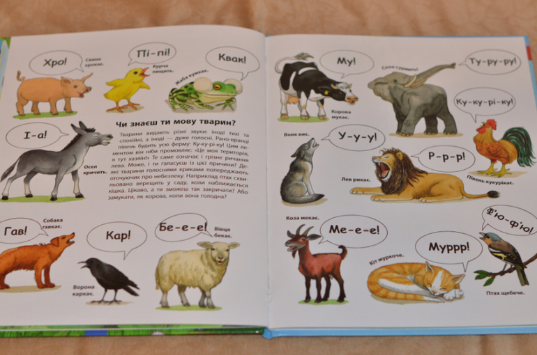 Бюджетные смотрелки от Ранка