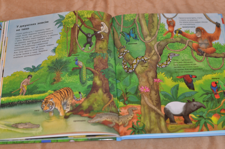 Бюджетные смотрелки от Ранка