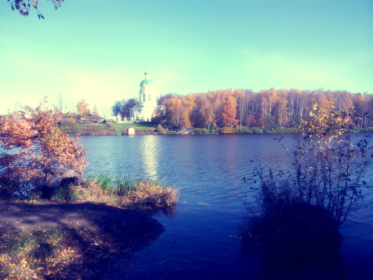 Фрязино. Золотая осень.