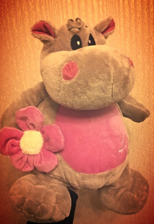 подарочек из командировки