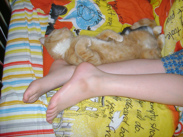 Вот так спит моё любимое Котэ!