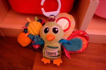 наши любые игрушки с 0 до 11 месяцев))