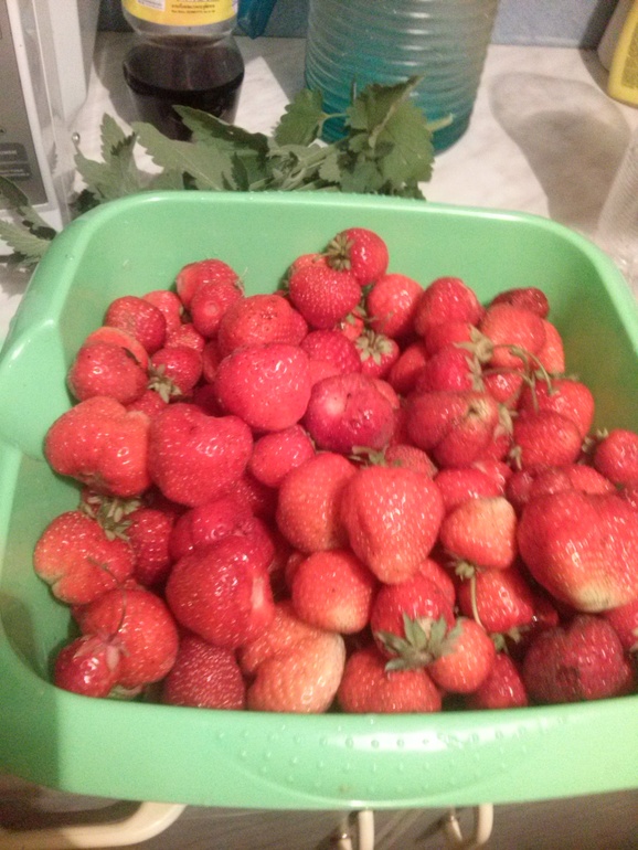 что приготовить из клубники?