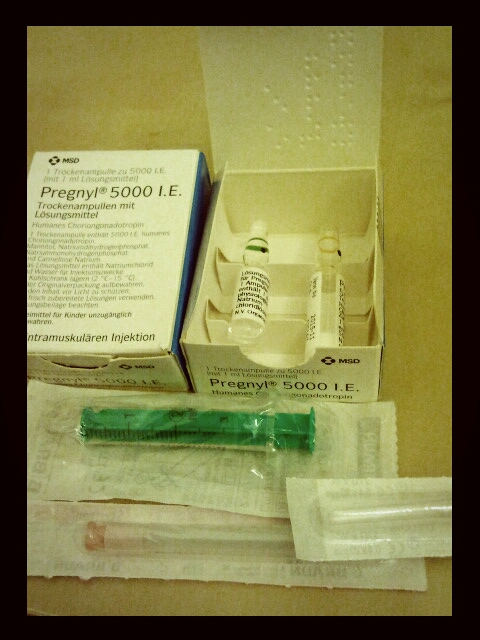 10ДЦ. 9ДС. 2.12.13 Прегнил 10000