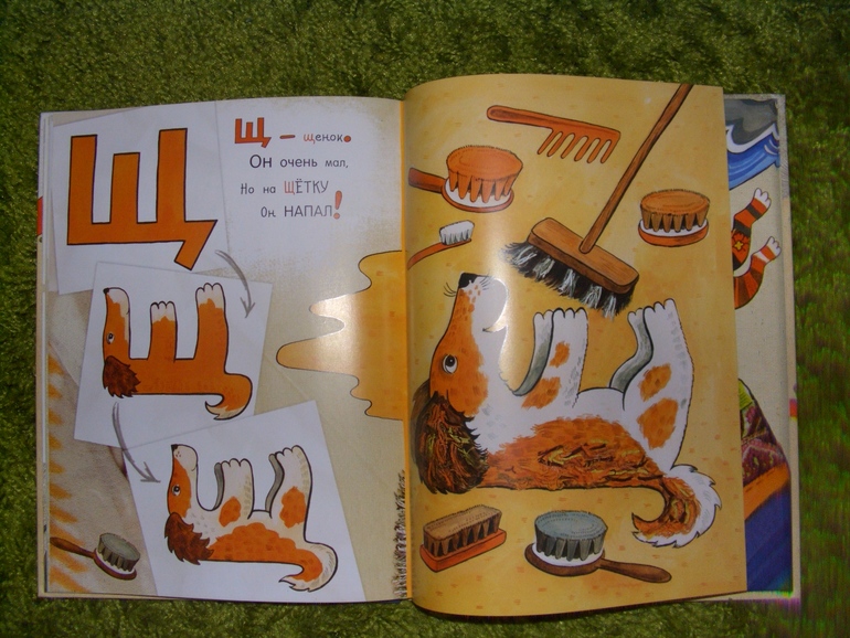 дональд, дональдсон и другие)