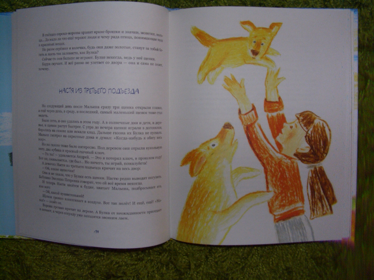 дональд, дональдсон и другие)