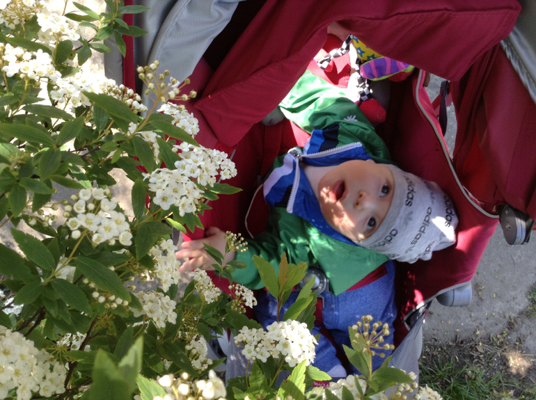 Димке полгода!