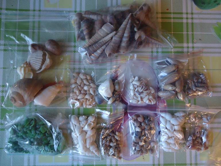 Приглашаю разделить мою радость!!!