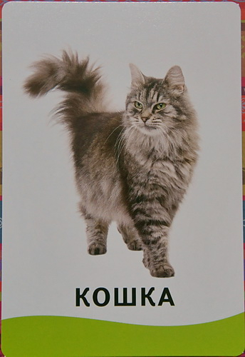 "Умные карточки" от издательства "Росмэн"