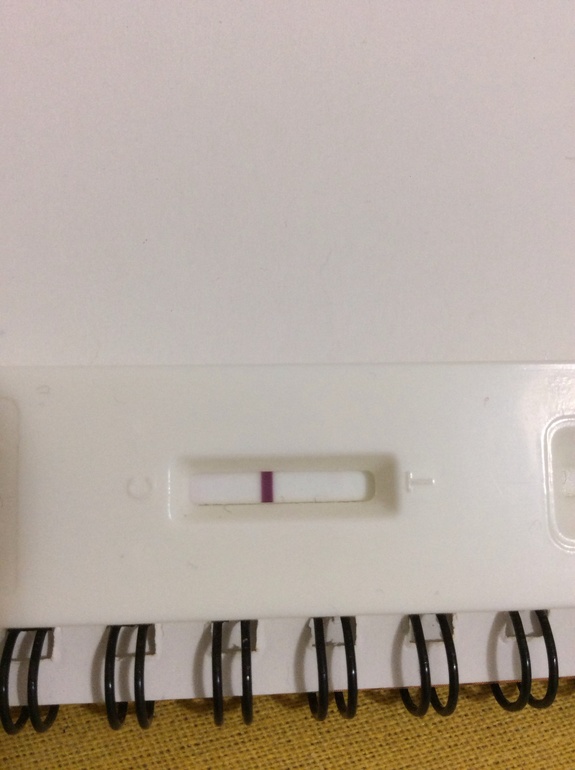 Тестомания