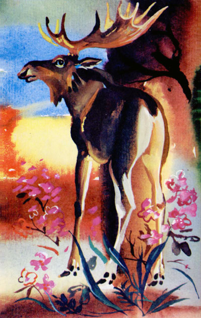 Мои неожиданные Трауготы. Длиннопост.