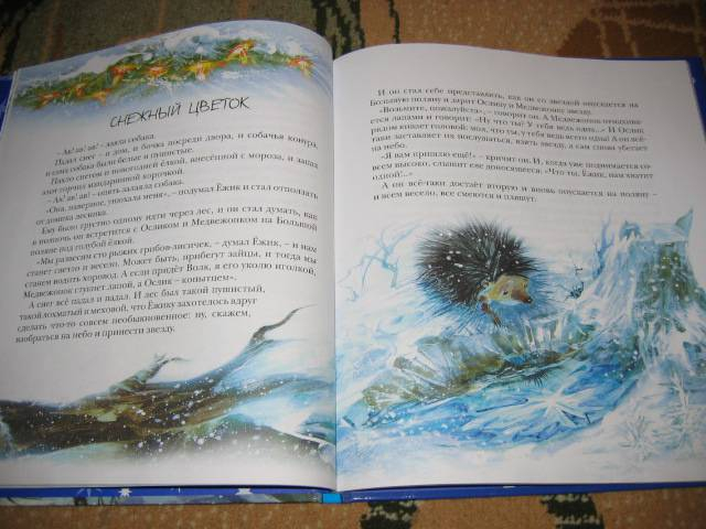 Зимние книги или Готовь сани летом