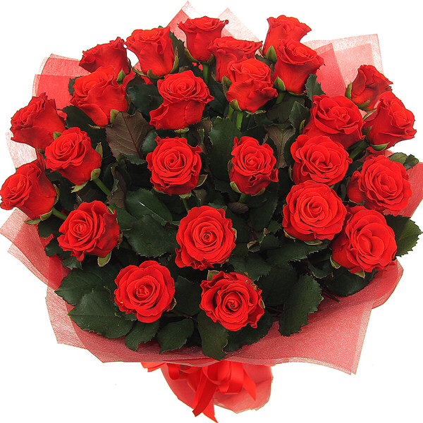 Огромная благодарность!!!