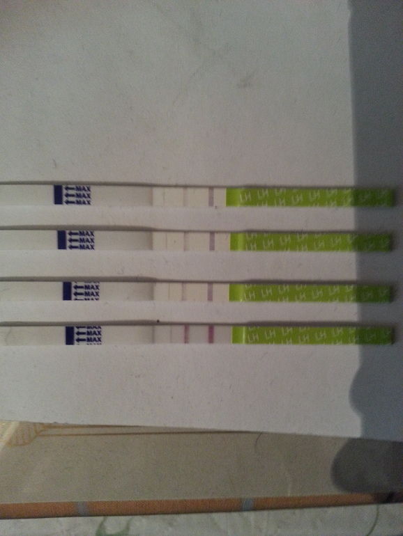 Месячные и тест на овуляцию.