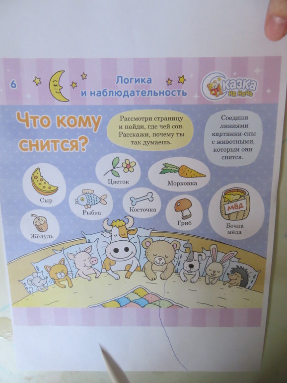 отчет тз где живет сова?