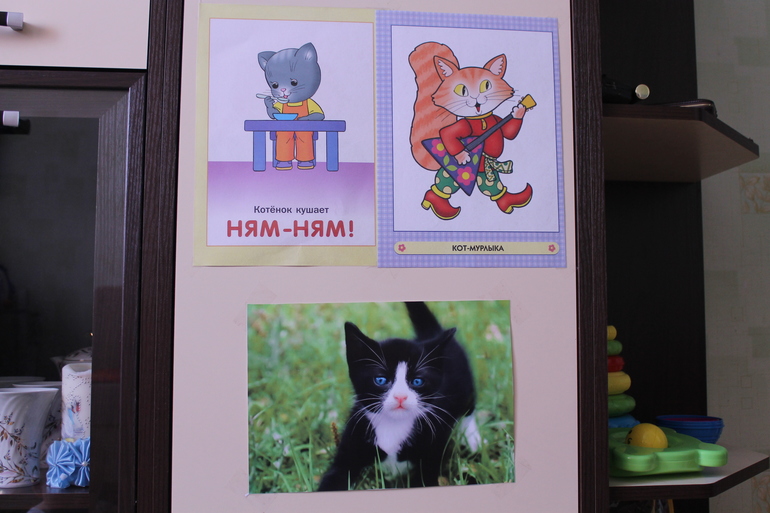 ТН Лучшие друзья человека. Кошка день 1