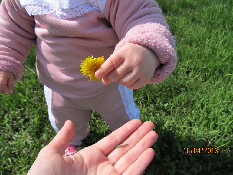 Гуляем! Наши первые знакомства с весенней природой (с фото)