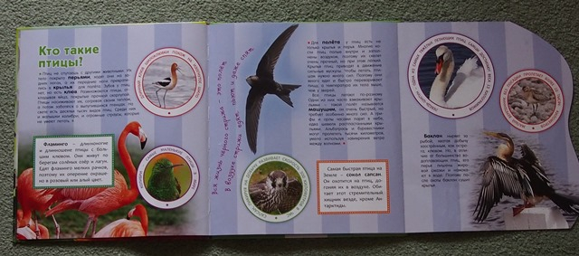 Наша скромная библиотека. Часть 1.