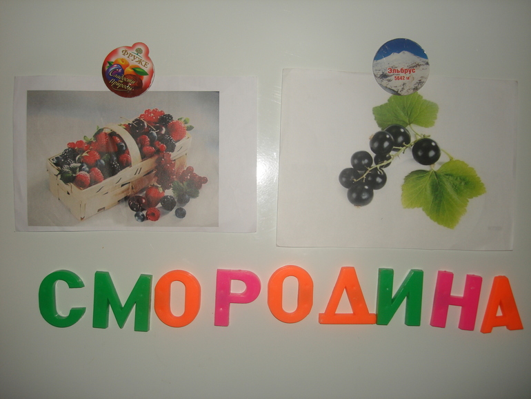 Отчет о ТН «Ягоды»