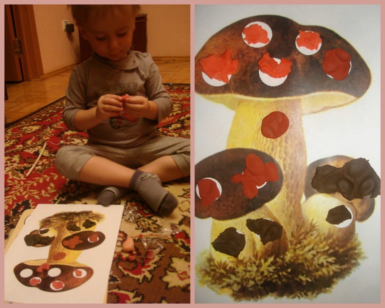 ТД Как живут белки зимой