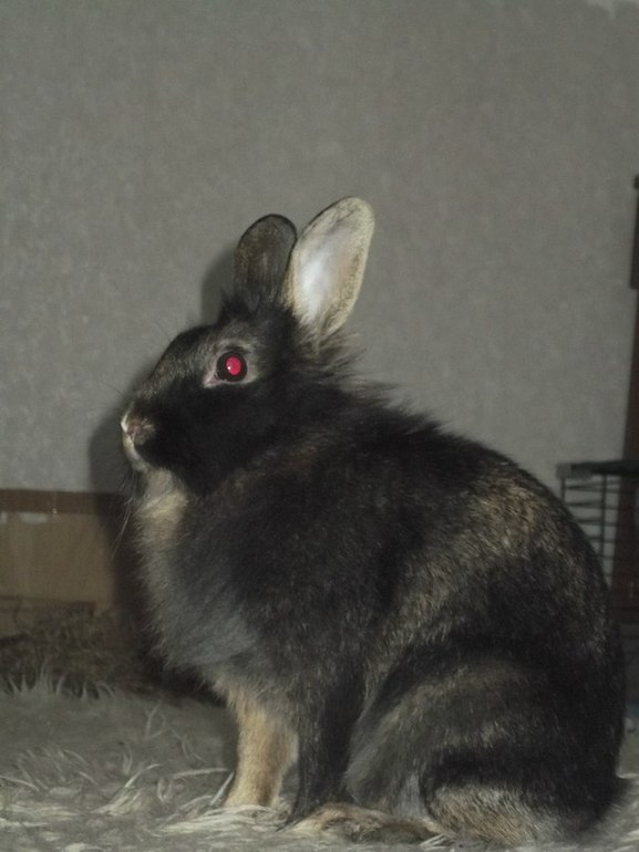 Мои любимые бутузики )))