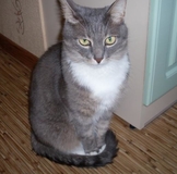 Спасибо большое Лене!!!