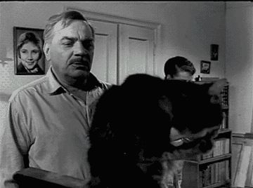 8d4ef23e38dc3a96abe675a61966a1b8.gif
