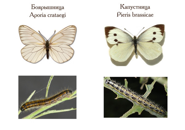 Как перевернулся мой мир!