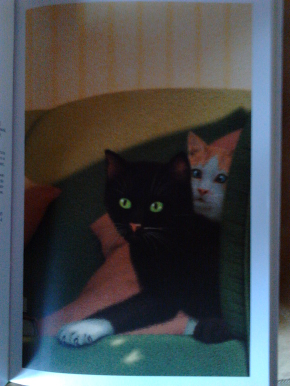 Показ полочек... и не только