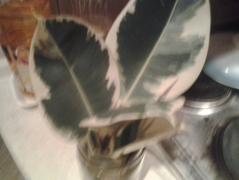 в полку прибыло....