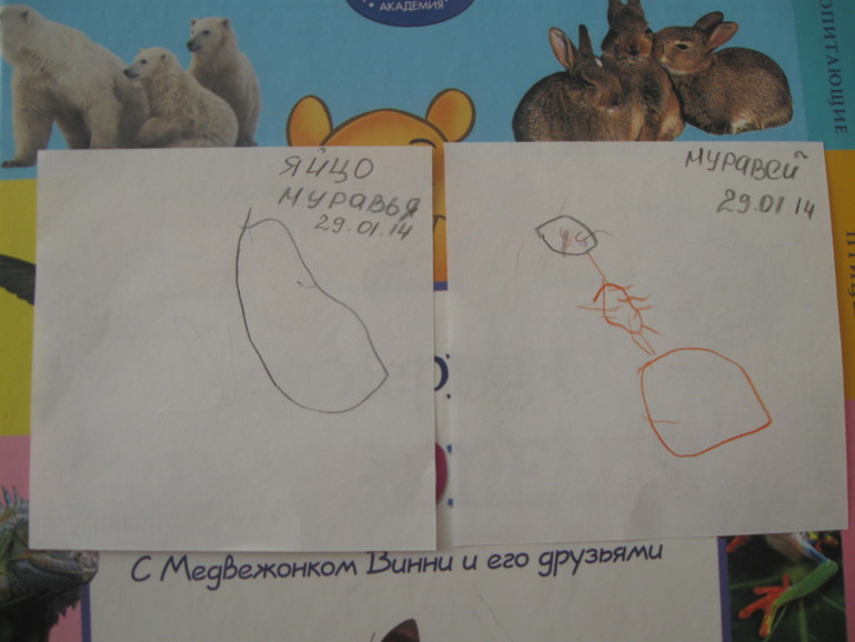 ТЗ "Муравей"