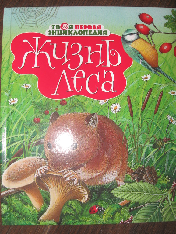 ТЗ "Муравей"