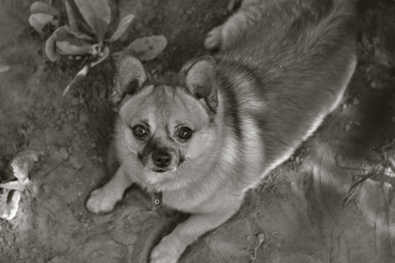 Контрольное задание № 19. Делаем черно-белое фото в Photoshop