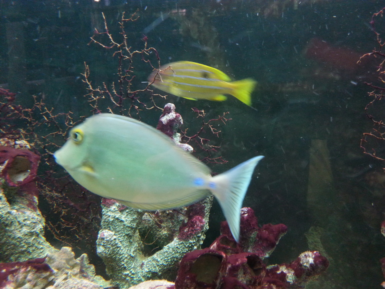 Прогулка по зоопарку)))