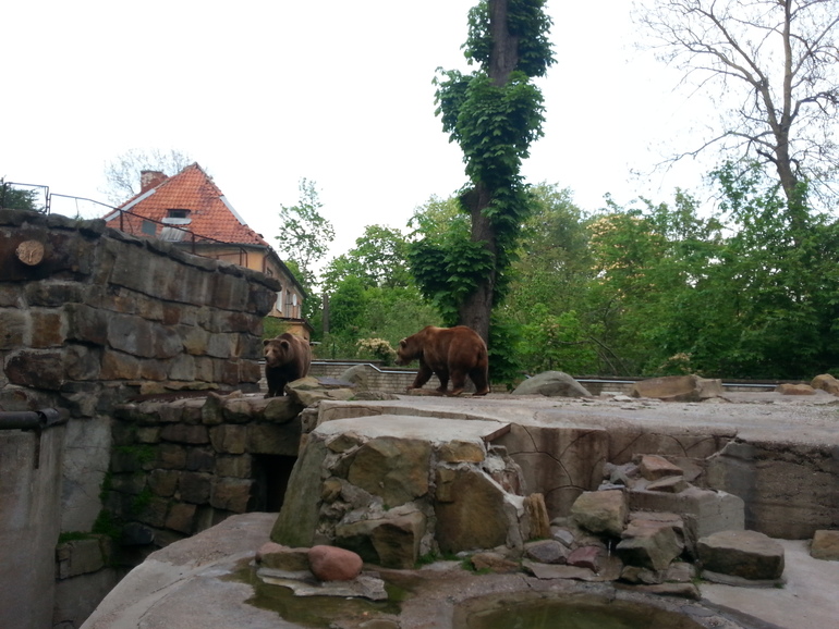 Прогулка по зоопарку)))