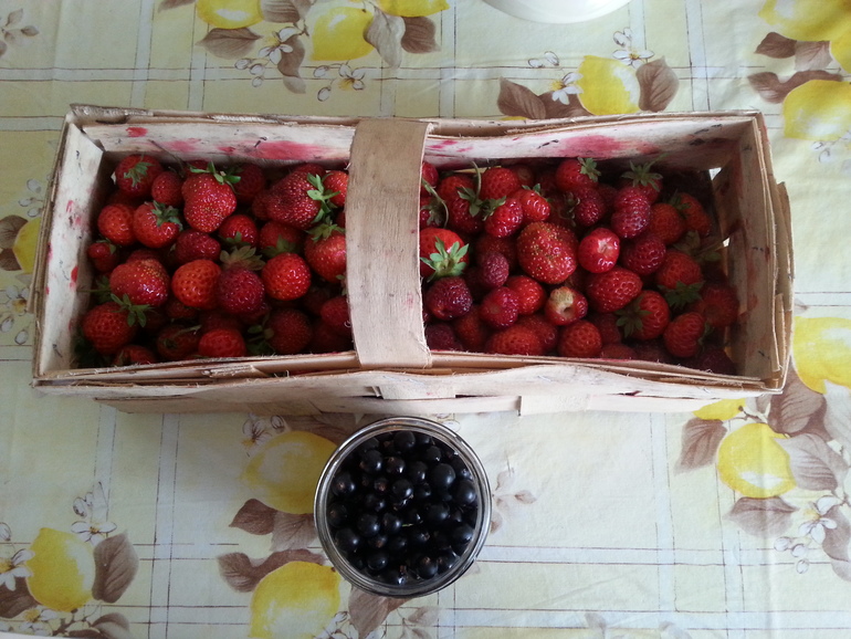 Пошла 31-ая неделька)))))