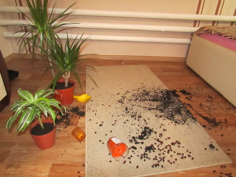 Эмоционально-нервный срыв....