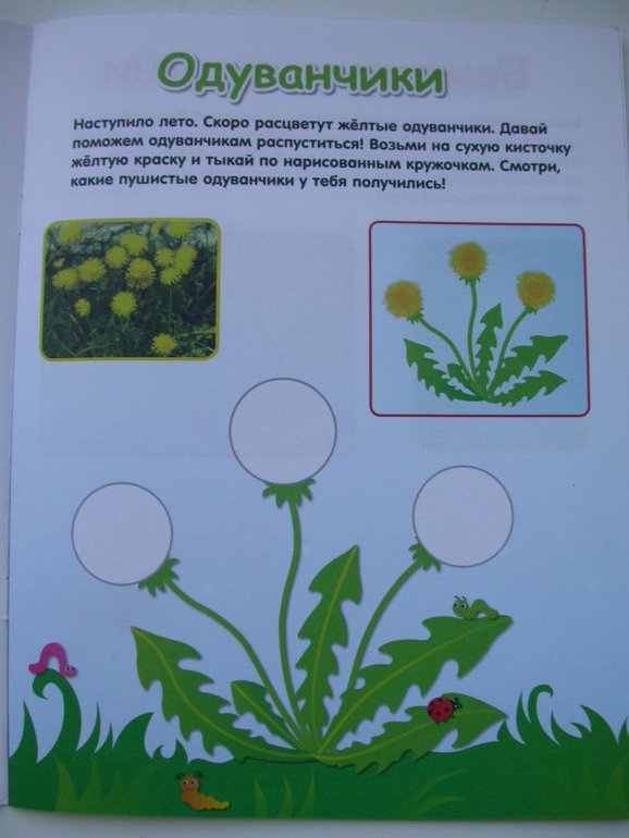 Серия многоразовых пособий для занятий с маленькими детьми 2+ и 3+