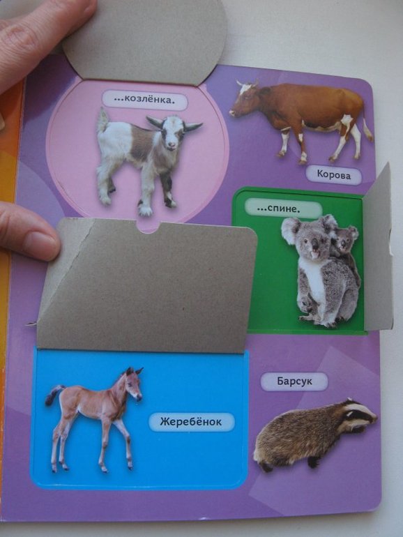 Супер цена на потрясающую серию Книжка с окошками от издательства Росмэн)))))