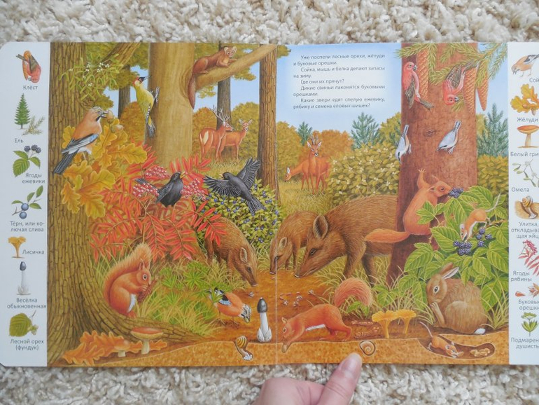 Отличная серия картонных книг для развития  деток со скидкой))