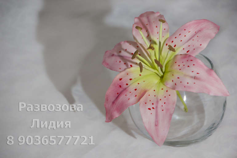 Мои первые лилии.