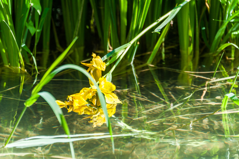 Хорватия. Регата. Рай))