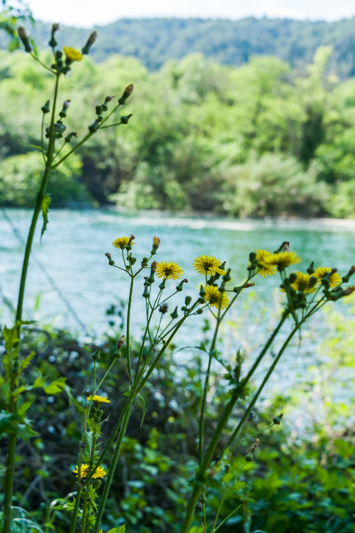 Хорватия. Регата. Рай))