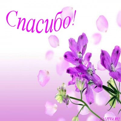 7d4f66f4e94a1807980ce11cea6e54f1.jpg